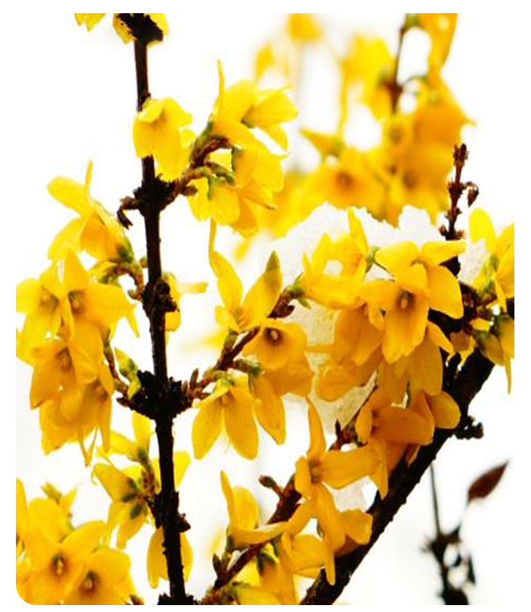 �B�N��ȡ��