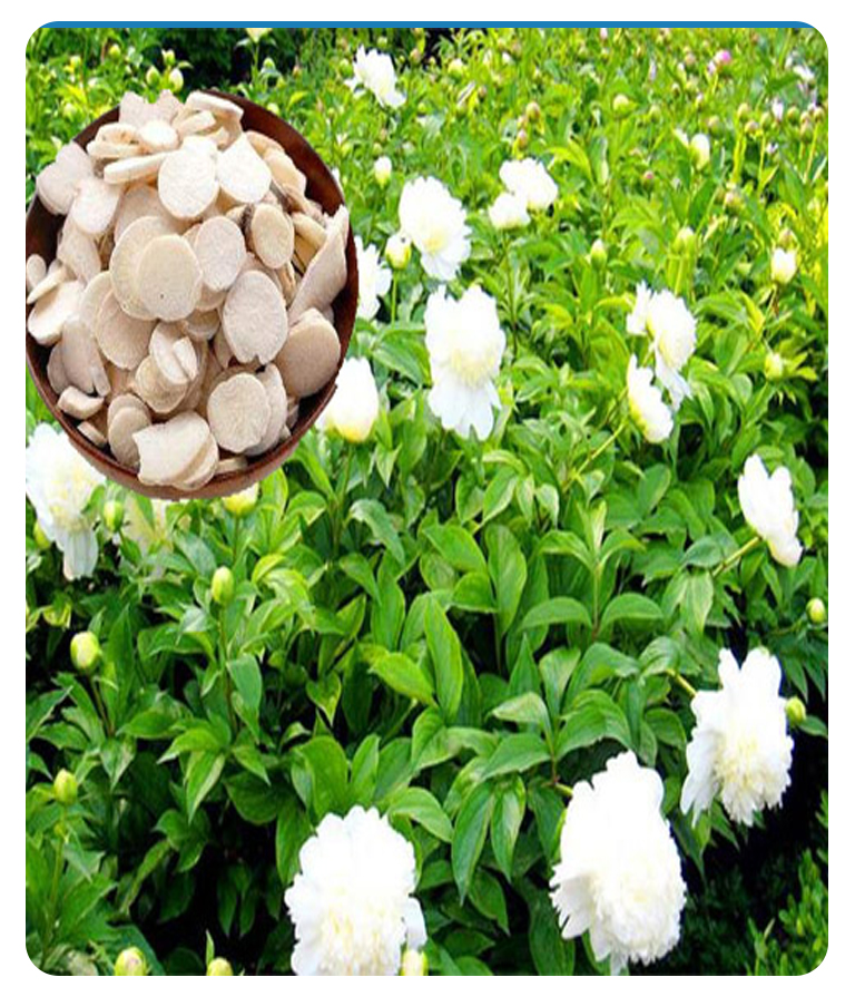 ������ȡ��