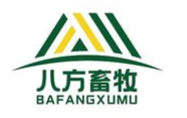 �����͑�(h��)