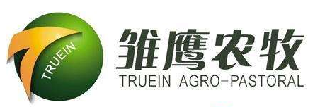 �����͑�(h��)