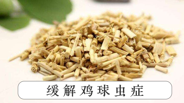 白茅根黃芪粗提物 白茅根黃芪粗提物