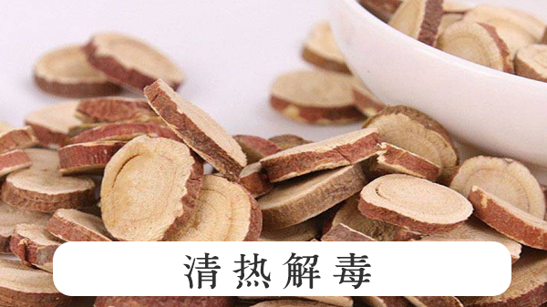 蒲公英甘草粗提物 蒲公英甘草粗提物