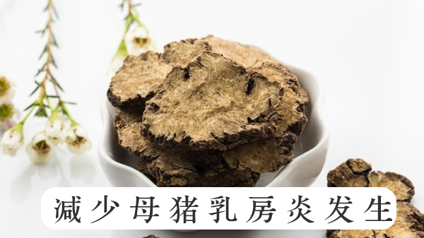 清母草川芎粗提物 清母草川芎粗提物